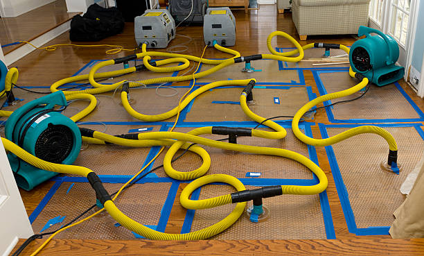 Professional Flood Damage Restoration technician working in Red Oak, IA